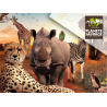 Planete Sauvage (E-Billets)